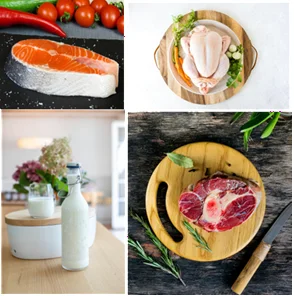 Dairy, Poultry, Fish & Meat Suppliers