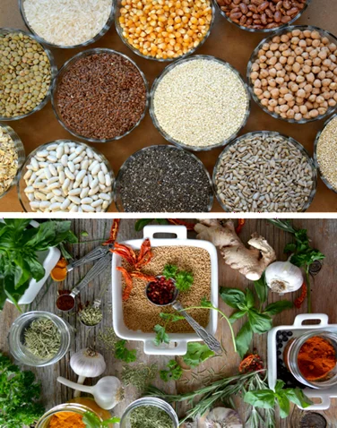 Grains, Pulses & Spices Suppliers