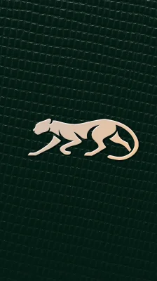 The Kavacha logo