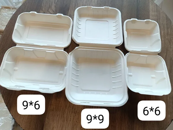 Clamshell-Food packaging