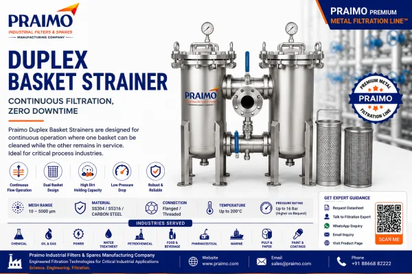 Duplex Basket Strainer