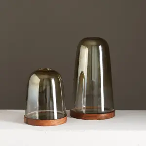 Modern Smoked Glass Statement Vases — HoReCa Supplier India